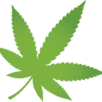 cannabis leaf clipart with transparent background for decoration of art file free png