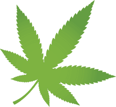 cannabis leaf clipart with transparent background for decoration of art file free png