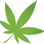 cannabis leaf clipart with transparent background for decoration of art file free png