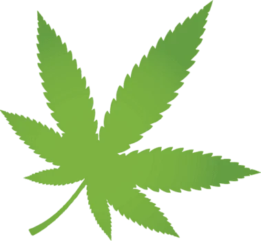 cannabis leaf clipart with transparent background for decoration of art file free png